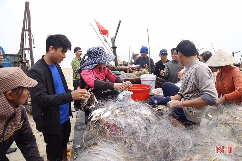 Ngư dân Hà Tĩnh đón nhiều “lộc biển”