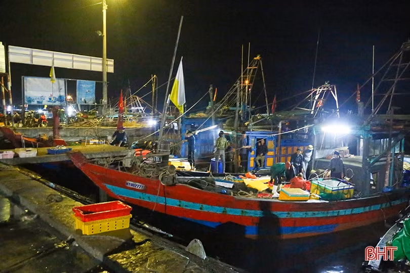 Ngư dân Hà Tĩnh đón nhiều “lộc biển”