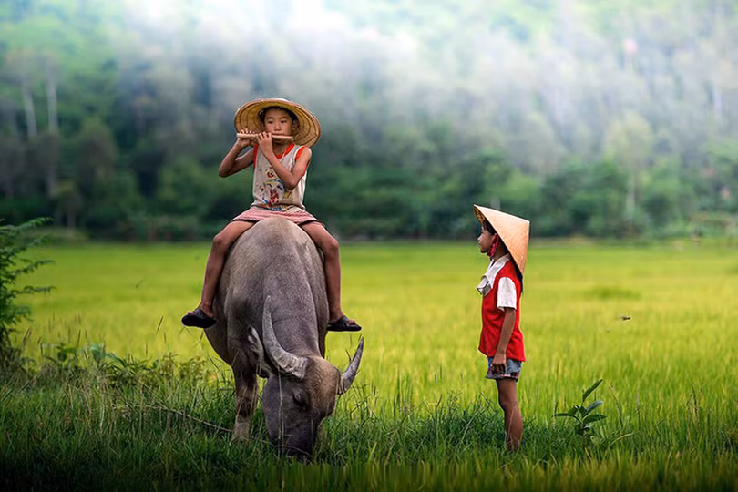 Nhà thơ Giang Nam: “Yêu quê hương qua từng trang sách nhỏ”…