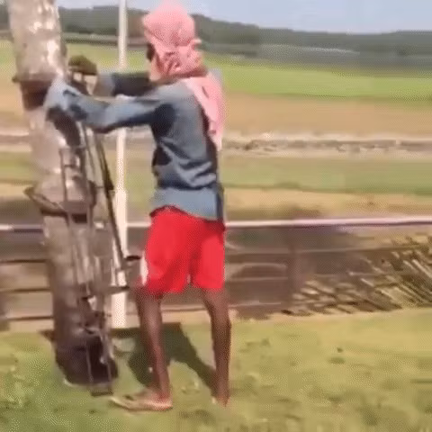 clip hai treo dua de nhu an keo