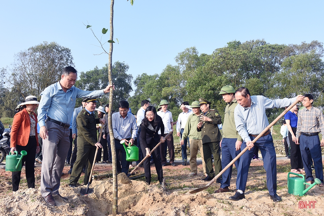 Các địa phương Hà Tĩnh sôi nổi ra quân trồng cây đầu xuân