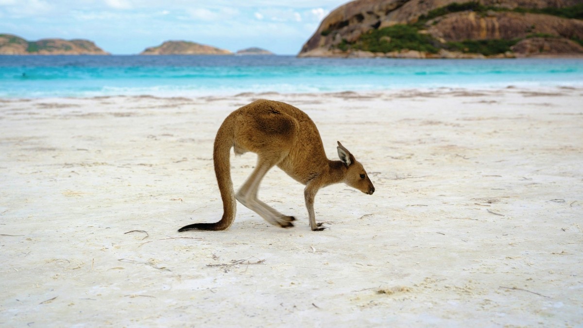 Ảnh: Western Australia