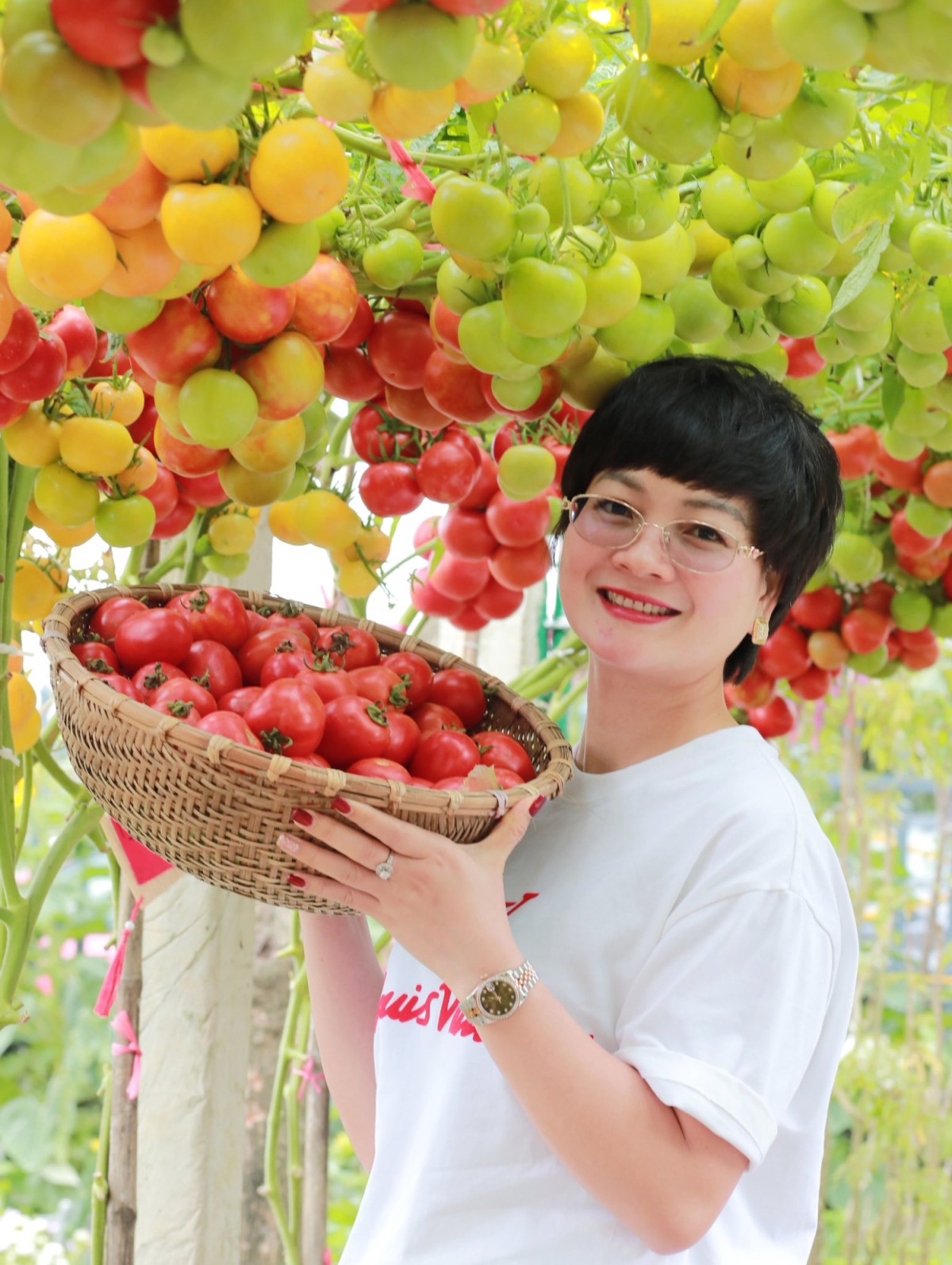 Một khách thích thú bên giàn cà chua bạch tuộc, hôm mùng 7 Tết.