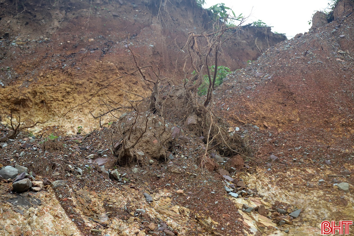 image-1.jpg