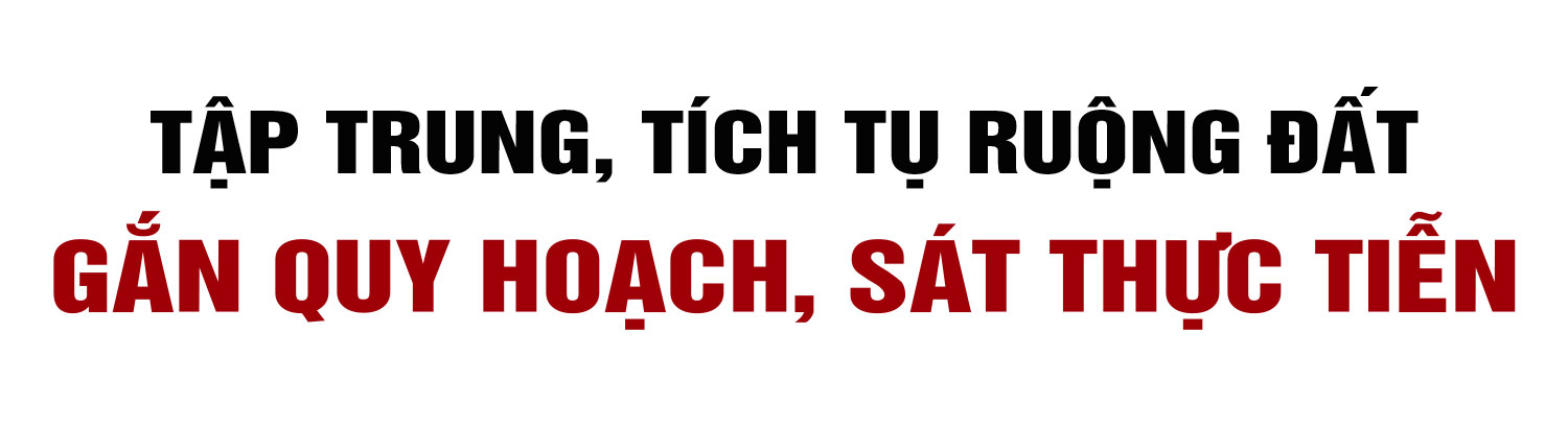 Tập trung, tích tụ ruộng đất - kiến tạo nền nông nghiệp hiện đại, bền vững (Bài cuối): Phát huy sức mạnh tổng hợp, vững bước trên đường lớn