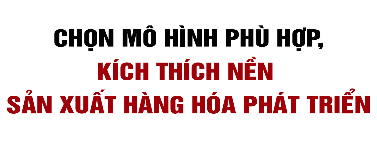Tập trung, tích tụ ruộng đất - kiến tạo nền nông nghiệp hiện đại, bền vững (Bài cuối): Phát huy sức mạnh tổng hợp, vững bước trên đường lớn