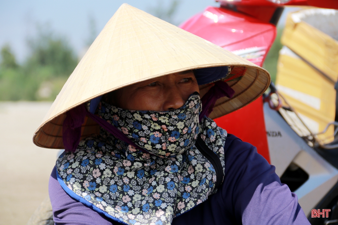 Làng biển phía Nam Hà Tĩnh rộn ràng mùa cá mờm cơm