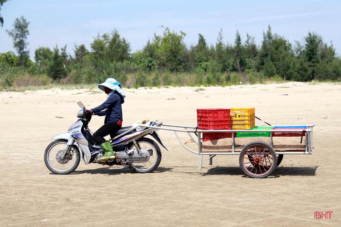 Làng biển phía Nam Hà Tĩnh rộn ràng mùa cá mờm cơm