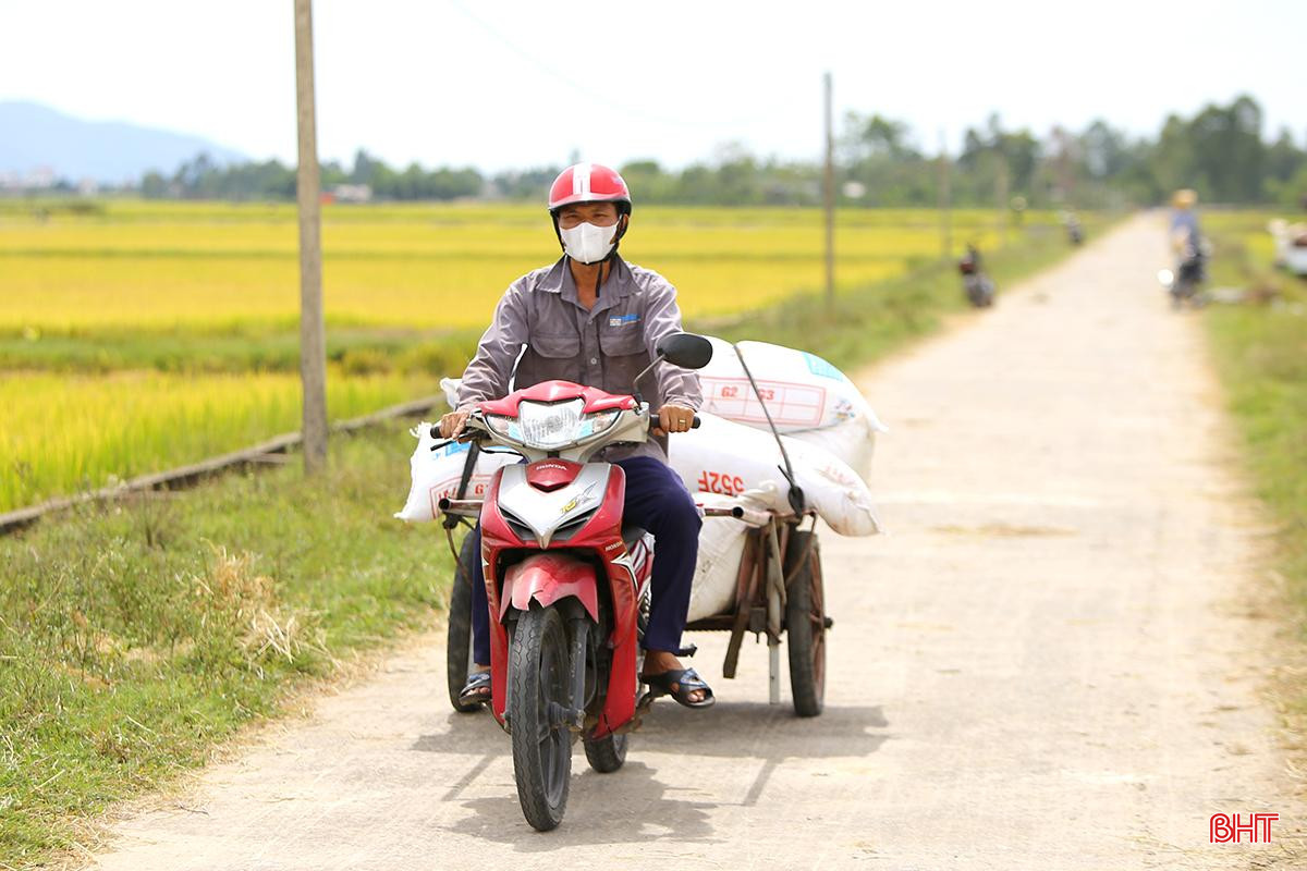 aIMG_0253.jpg