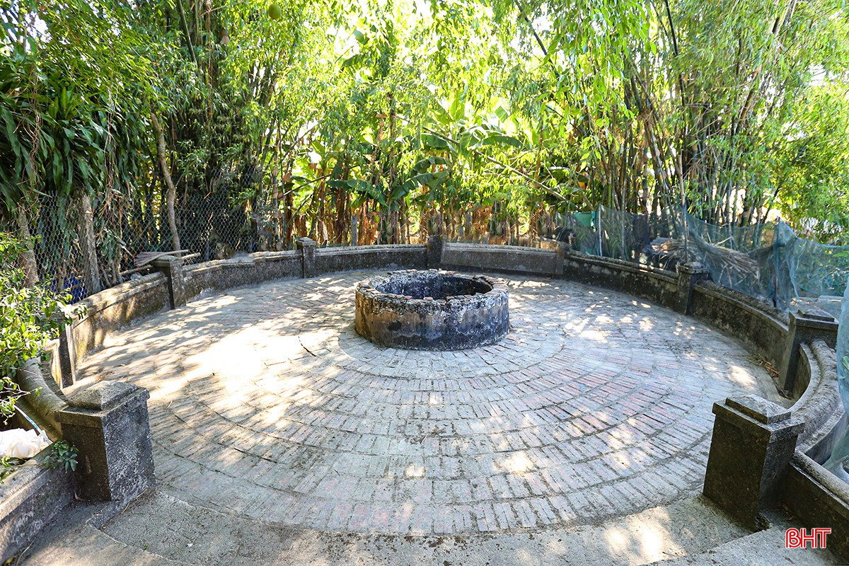 aIMG_0950 copy.jpg