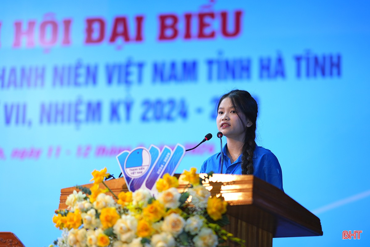 aTDT03635.jpg