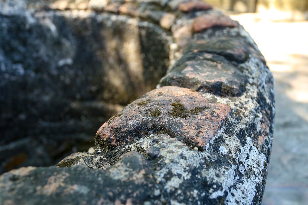 aIMG_0953.jpg