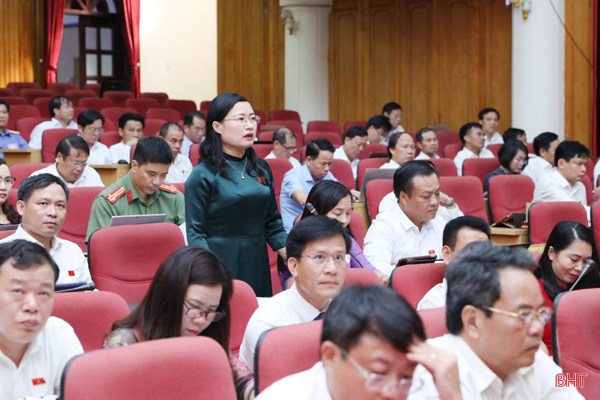 Đại biểu quan tâm tới đời sống người dân vùng dự án mỏ sắt Thạch Khê