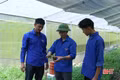 Khởi nghiệp từ những mầm hoa