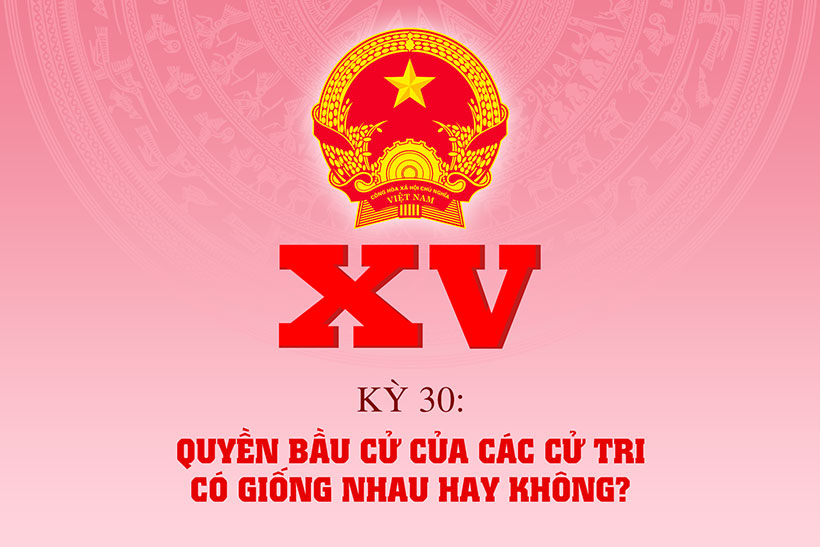 Cử tri chưa đăng ký thường trú hoặc tạm trú thì có quyền tham gia bầu cử đại biểu ở cấp nào?