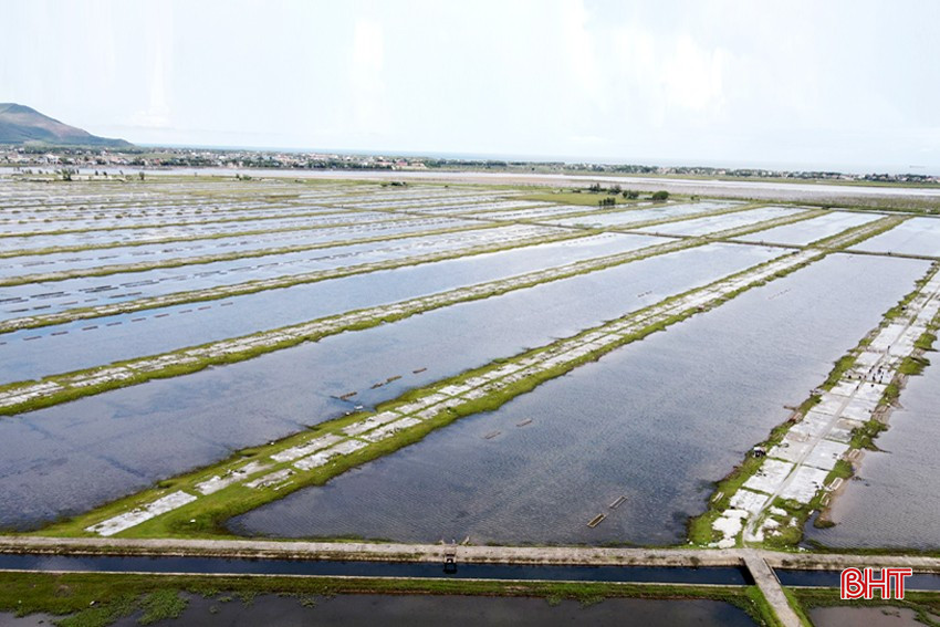 bqbht_br_dt-dji-0978-copy.jpg