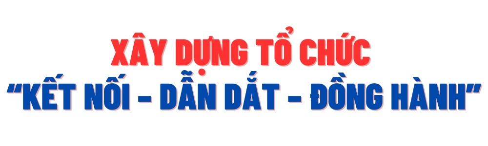 p.jpg