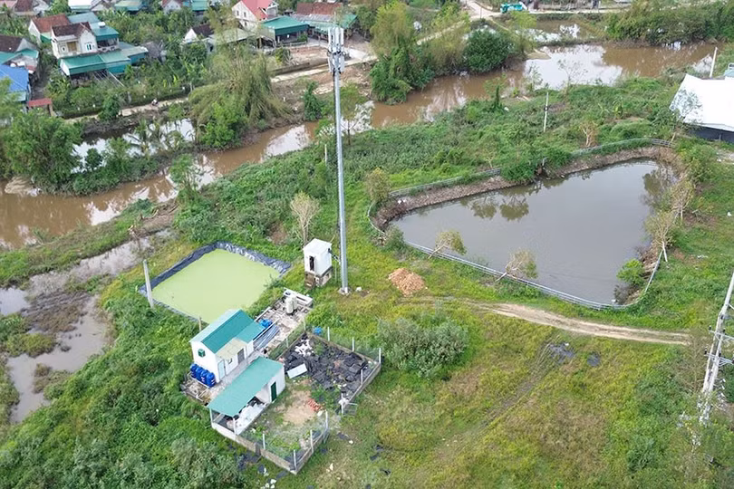qt-thanh-binh-thinh.jpg