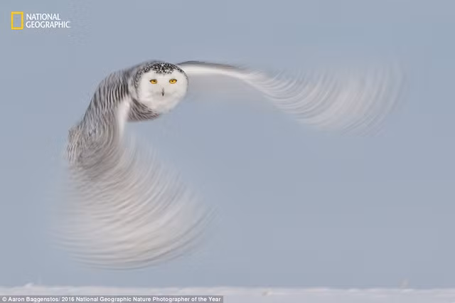 khoanh khac the gioi dep dieu ky trong cuoc thi cua national geographic