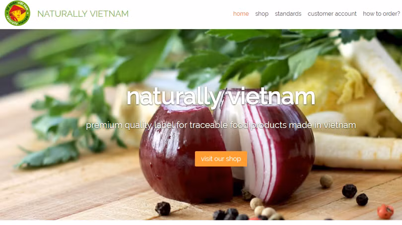 mo hinh startup cua co gai viet duoc forbes khen ngoi het loi