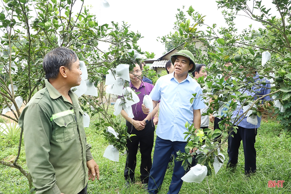 Đưa 4 xã còn lại của Hương Khê đạt chuẩn nông thôn mới trong năm 2022