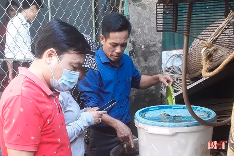 Xuất hiện ổ dịch sốt xuất huyết đầu tiên ở Đức Thọ