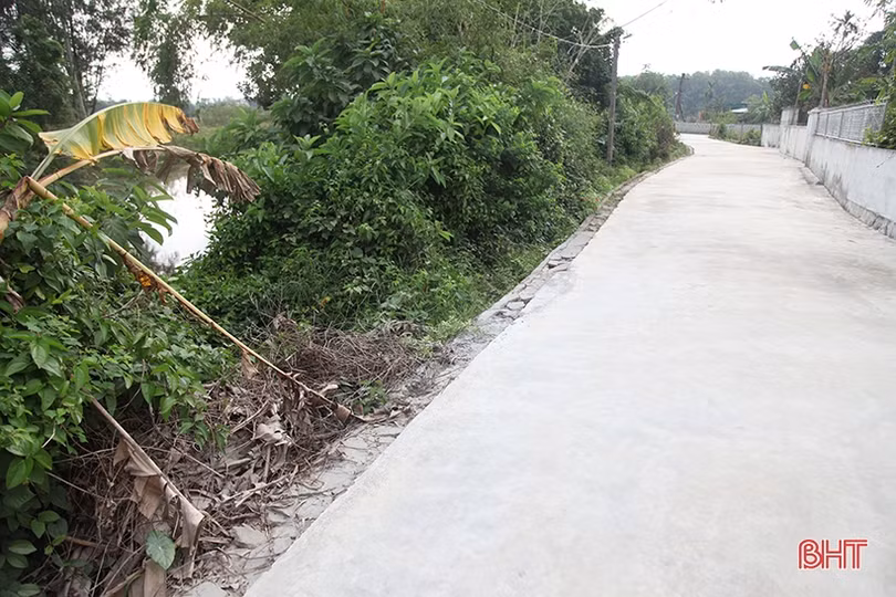 Bờ sông Đập Đình sạt lở, hàng trăm hộ dân ở Trung Lộc lo lắng