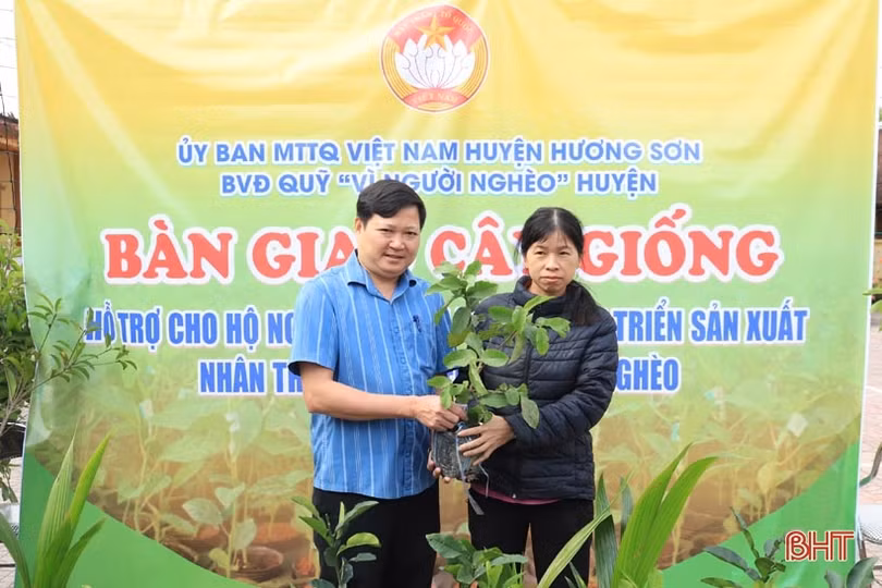 Trao 3.297 cây ăn quả cho hộ nghèo, cận nghèo ở Hương Sơn