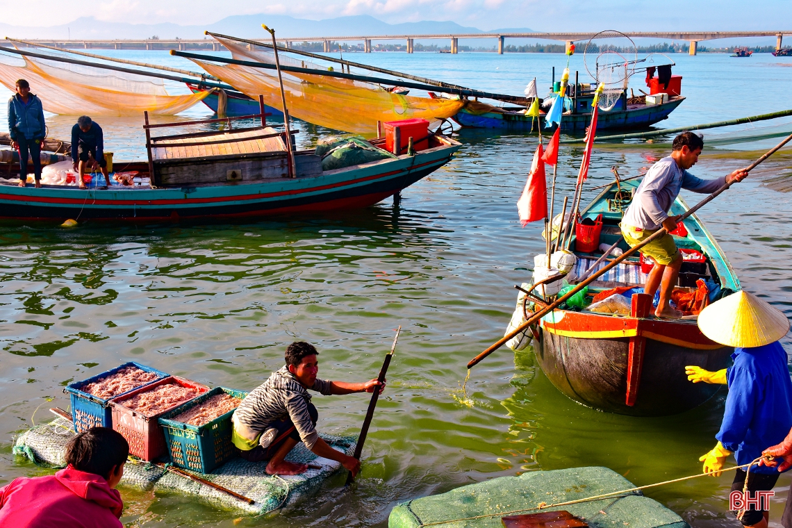 Ruốc biển, mùa “lộc” của ngư dân Cửa Nhượng