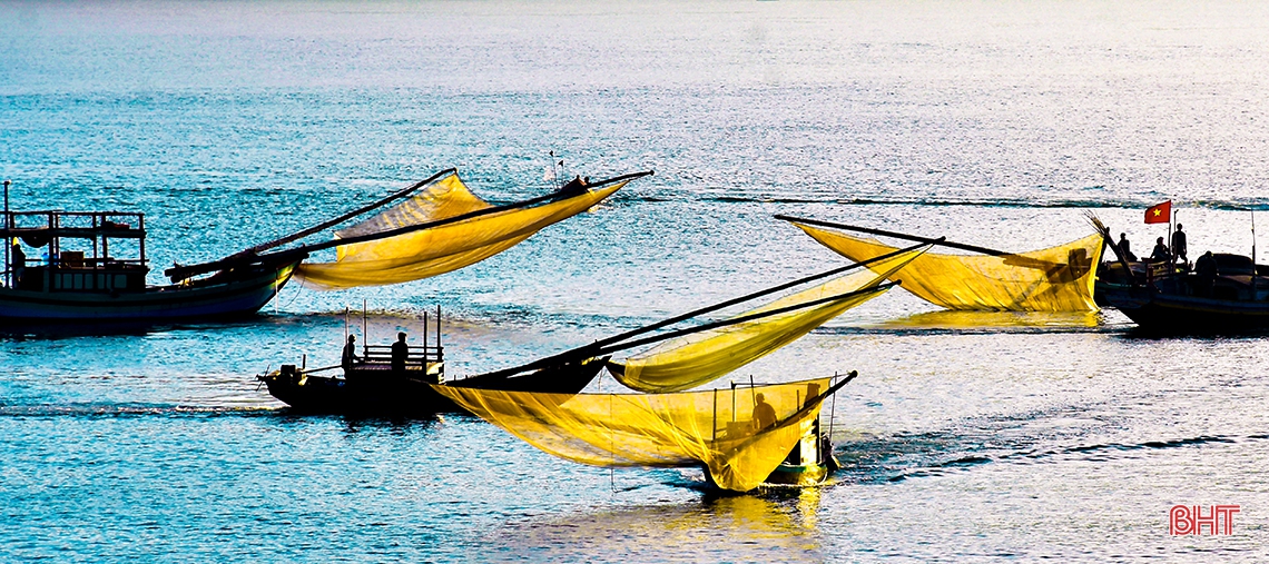 Ruốc biển, mùa “lộc” của ngư dân Cửa Nhượng