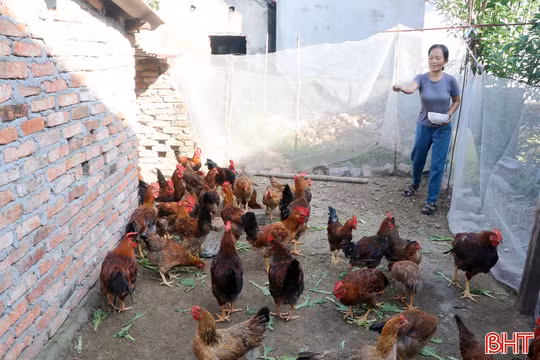 Tùng Lộc tiếp sức hộ nghèo cải thiện cuộc sống