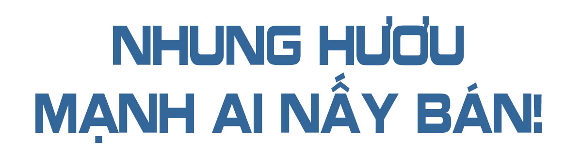 Khi cam bù, nhung hươu Hà Tĩnh vẫn quẩn quanh trên “sân nhà”!