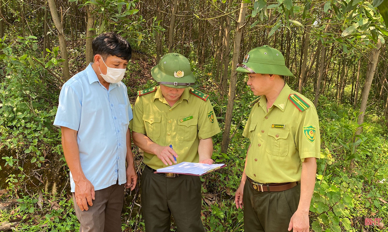 Phòng chống cháy rừng - cần sự chung tay của cả cộng đồng (bài 2): Trách nhiệm không của riêng ai!