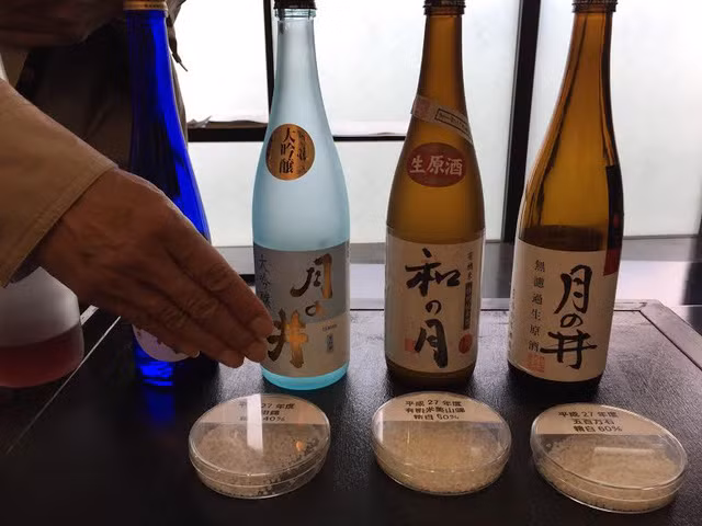 ibaraki thien duong hoa nuoc nhat di ca 4 mua khong chan