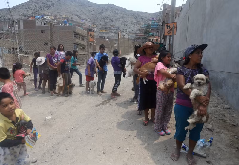 peru chim trong bun sau lu va lo dat lich su