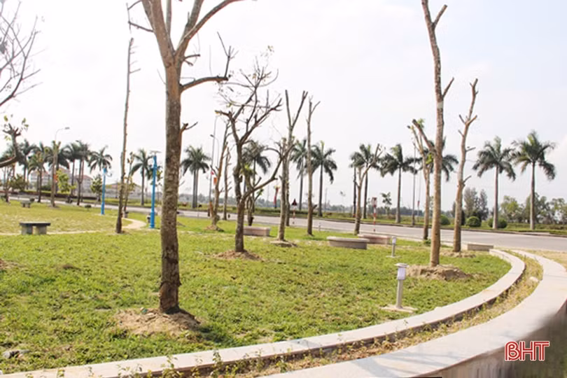 Thành phố Hà Tĩnh không chỉ hiện đại mà càng phải xanh hơn