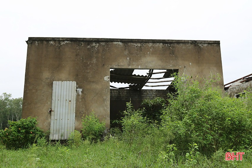 a13-5220.jpg