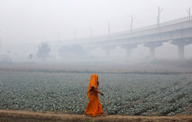 photo khoi mu doc hai bua vay thu do new delhi an do