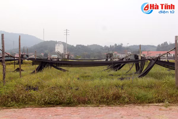 nhieu du an tai khu kinh te cua khau cau treo eo ot dap chieu