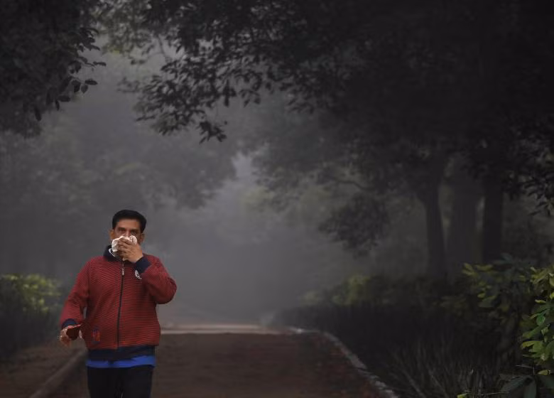 photo khoi mu doc hai bua vay thu do new delhi an do