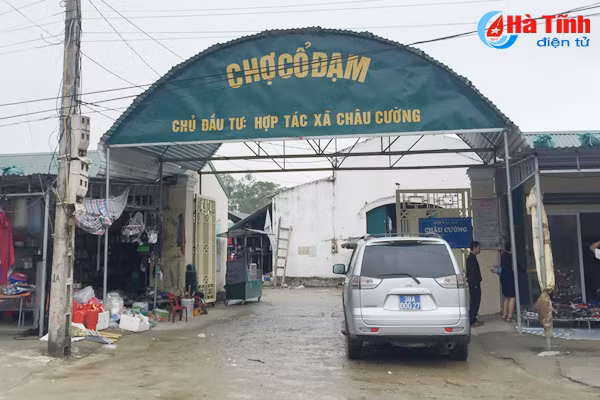 nhung nhang tai cho co dam dia phuong va nganh chuc nang o dau