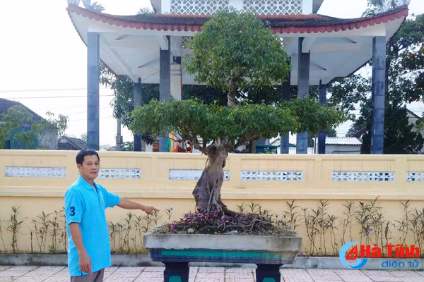 dan hien cay canh quy lam dep tru so xa hoi quan thon