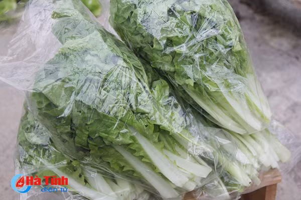 video muot mat vuon rau thuy canh 350m 2 cua cu ba u70 o ha tinh