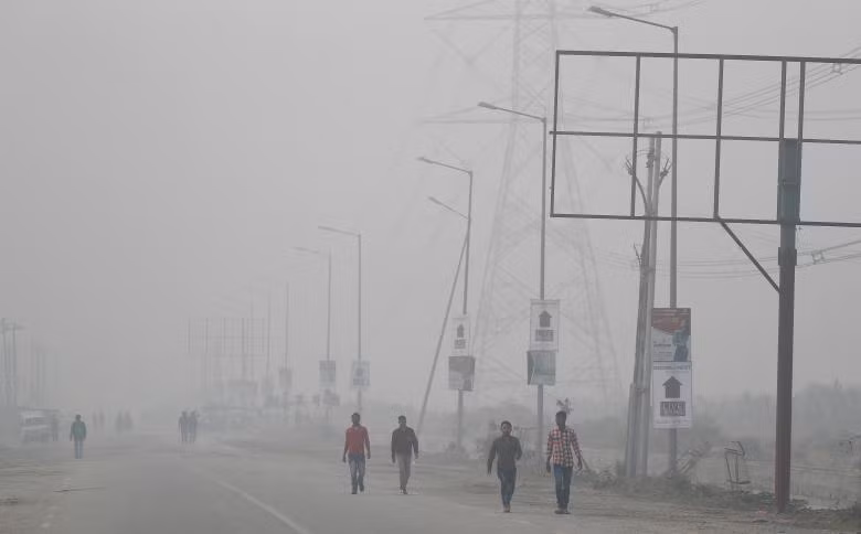 photo khoi mu doc hai bua vay thu do new delhi an do