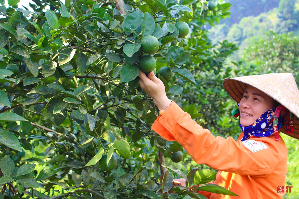 Vũ Quang vững vàng trên hành trình xây dựng huyện nông thôn mới nâng cao