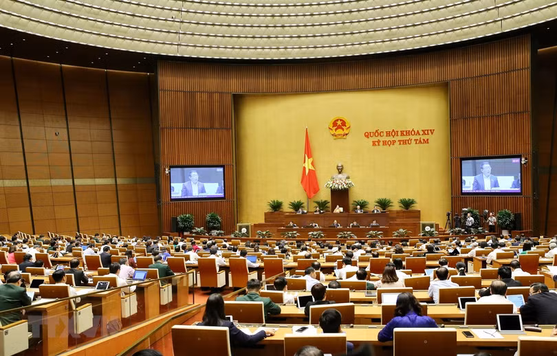 Đại biểu Quốc hội phân tích bức tranh kinh tế - xã hội tổng quan năm 2019