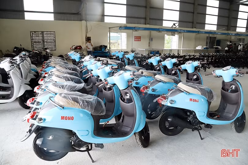Doanh nghiệp vượt khó, quyết “bám trụ” Khu kinh tế Cầu Treo