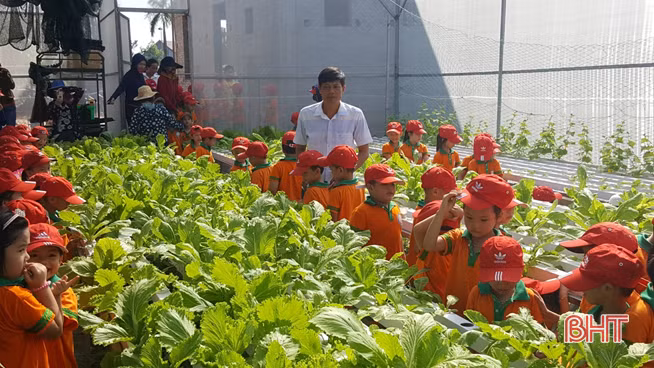 Làm nông nghiệp sinh thái, Làng trẻ em mồ côi Hà Tĩnh tự túc rau sạch cho trẻ