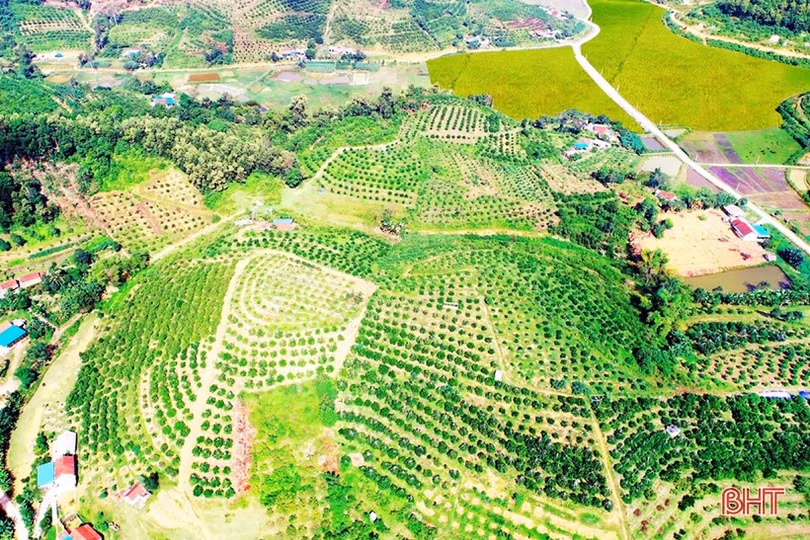 Vũ Quang bừng sáng giữa đại ngàn