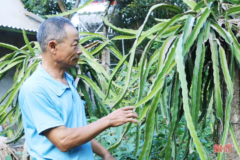 Vũ Quang bừng sáng giữa đại ngàn